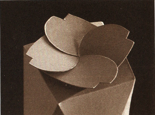 連續(xù)搖翼窩進(jìn)結(jié)構(gòu)包裝設(shè)計(jì)制作效果圖